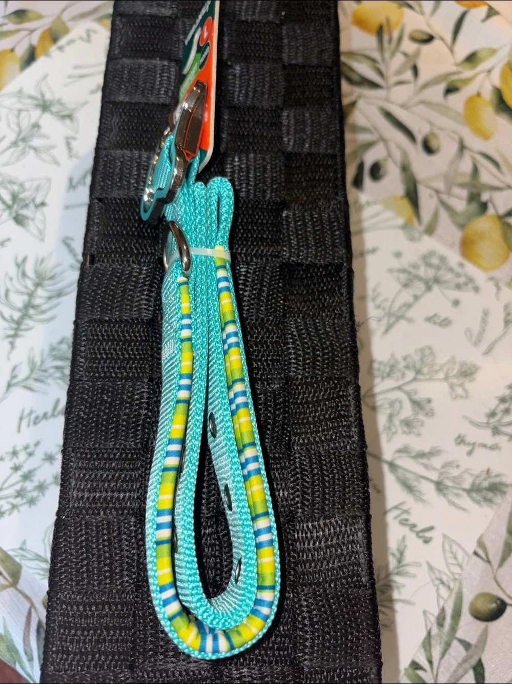 Vibrant Teal Padded Dog Collar with Bone-Shaped Buckle sz L